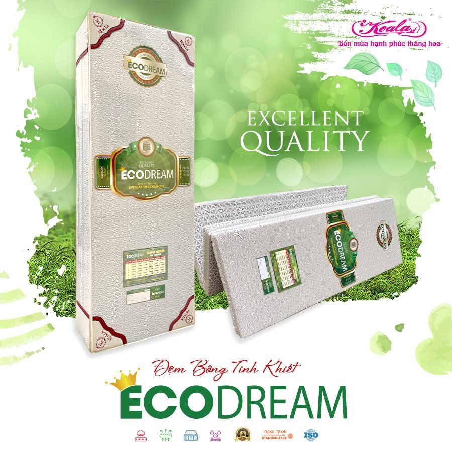 Đệm bông ép ECO DREAM 160*200cm