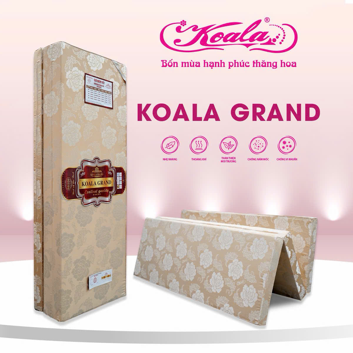 Đệm Bông Gấp 3M Gấm NK 200*220cm