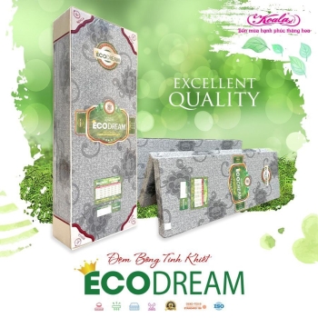 Đệm bông ép ECO DREAM 180*200cm