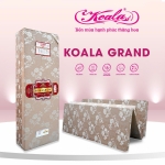 Đệm Bông Gấp 3M Gấm NK 200*220cm