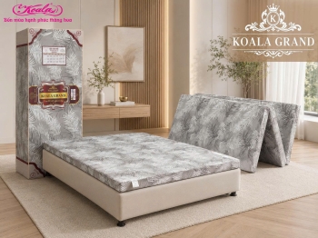 Đệm Bông Gấp 3M KOALA CT 160*200cm