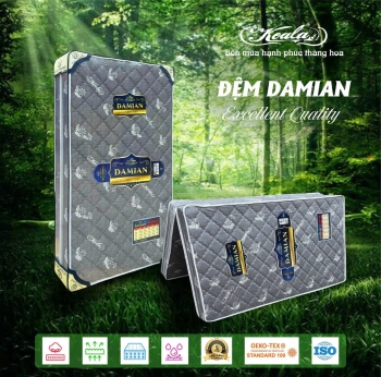 Đệm Chống Thoái Hóa 2M DAMIAN 200*220cm