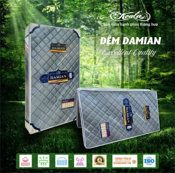 Đệm Chống Thoái Hóa 2M DAMIAN 180*200cm