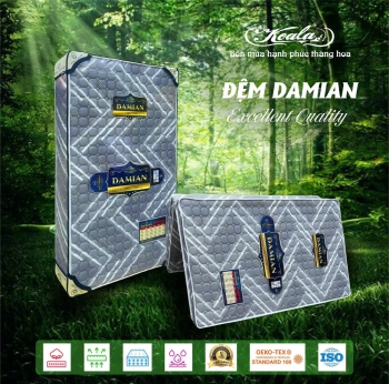 Đệm Chống Thoái Hóa 2M DAMIAN 160*200cm