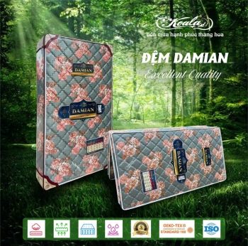 Đệm Chống Thoái Hóa 2M DAMIAN 140*190cm