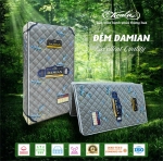 Đệm Chống Thoái Hóa 2M DAMIAN 120*190cm