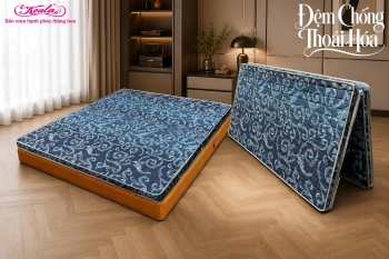 Đệm Chống Thoái Hóa 2M Gấm NK 160*200cm