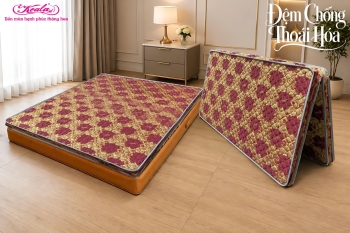 Đệm Chống Thoái Hóa 2M Gấm NK 200*220cm