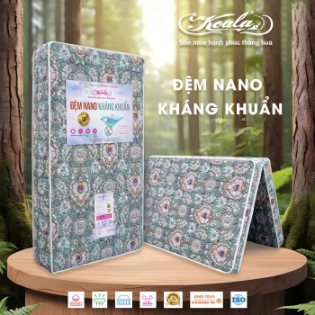 Đệm Chống Thoái Hóa 2M Nano Kháng Khuẩn 120*190cm