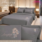 Bộ chăn ga gối Amazing AM 02-08