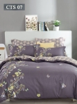 Bộ Chăn ga gối Koala Cotton CTS 07