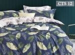 Bộ Chăn ga gối Koala Cotton CTS 12