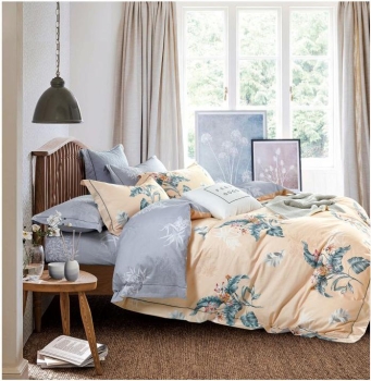 Bộ Chăn ga gối Koala Cotton CTS 2058