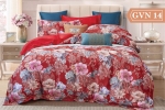 Bộ Chăn Ga Gối Koala GVN 14