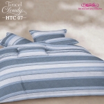 Bộ chăn ga gối HTC 07