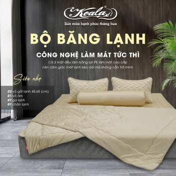 Bộ Chăn Ga Gối Băng Lạnh 04