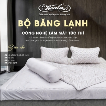 Bộ Chăn Ga Gối Băng Lạnh 05