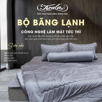 Bộ Chăn Ga Gối Băng Lạnh 03
