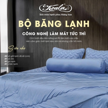 Bộ Chăn Ga Gối Băng Lạnh 02