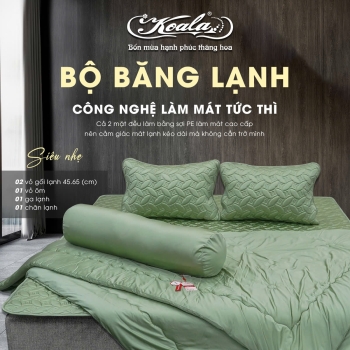 Bộ Chăn Ga Gối Băng Lạnh 01