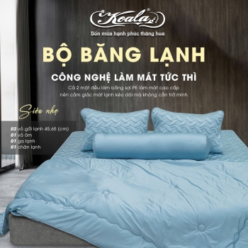 Bộ Chăn Ga Gối Băng Lạnh 06