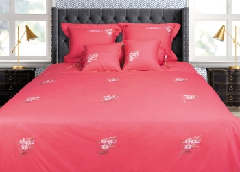 Bộ Chăn Ga Gối Solid SA 2024