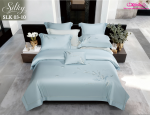 Bộ Chăn Ga Gối SLK 03-10