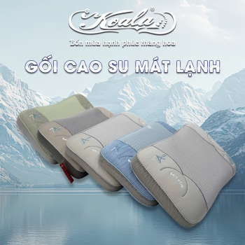 Gối cao su thiên nhiên