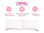 RUỘT GỐI AB 45x65