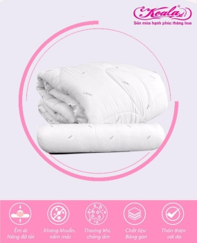 RUỘT CHĂN AB 200x220